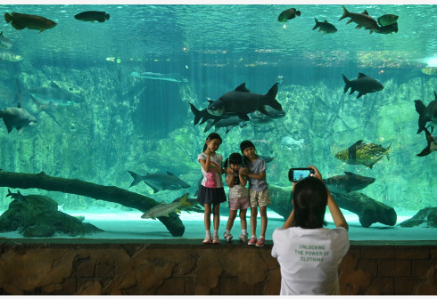 2023年12月13日，游客游览新加坡河川生态园。新华社发
